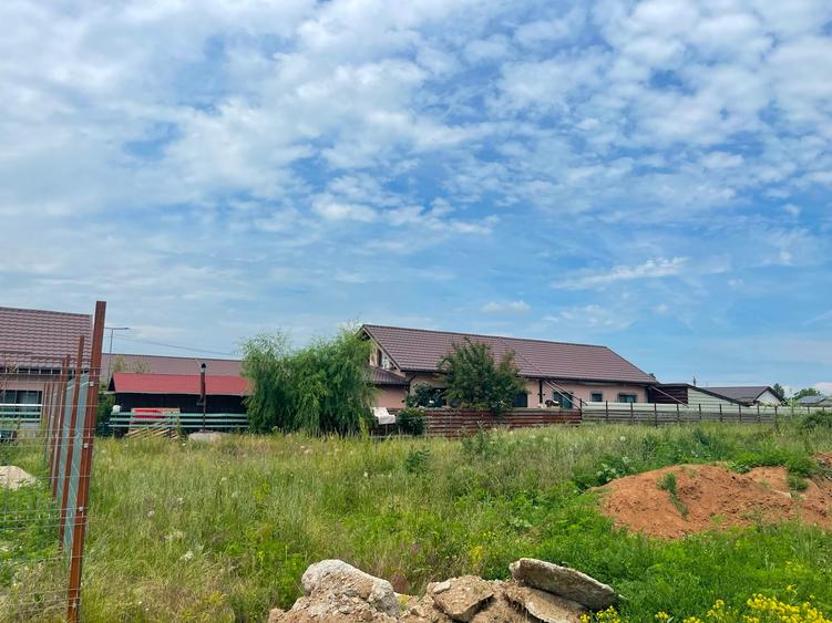 Teren Construcții intravilan de 22000 mp, în Dumbrăveni