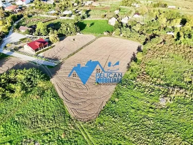 Teren de 6000 mp, în Sarinasuf