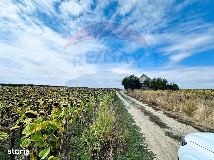 Teren de 14863 mp, în Ciorogârla
