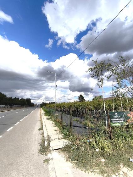 Teren intravilan de 30000 mp, în Călugăreni