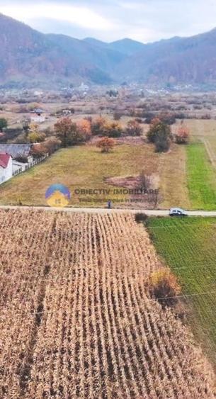 Teren Construcții de 5533 mp, în Alexandru cel Bun
