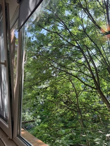 Apartament cu 2 camere semidecomandat, mobilat în Inel II