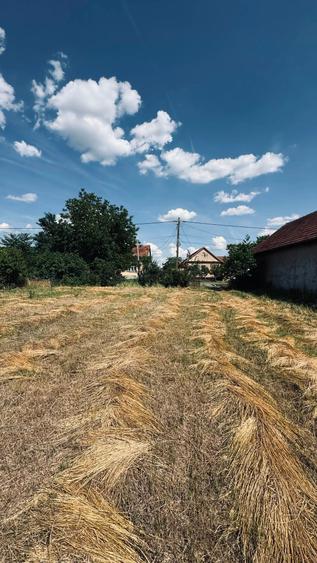 Teren Construcții intravilan de 1493 mp, în Ianova
