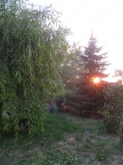 Casă cu Teren 1000 Mp în Valea