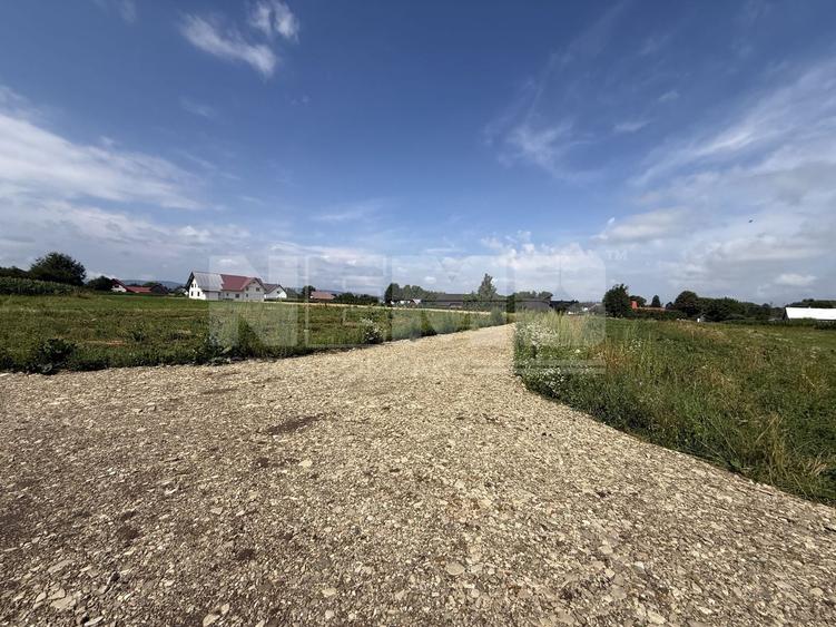 Teren Construcții intravilan de 23000 mp, în Horodnic de Jos