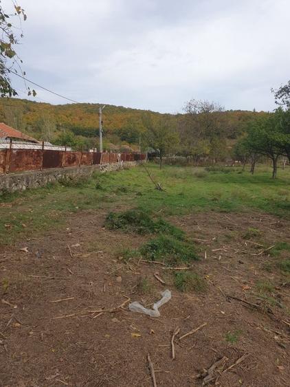 Casă cu 2 camere cu Teren 3600 Mp în Balotești