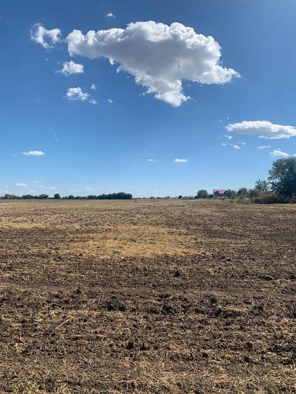 Teren agricol intravilan de 4000 mp, în Dimieni