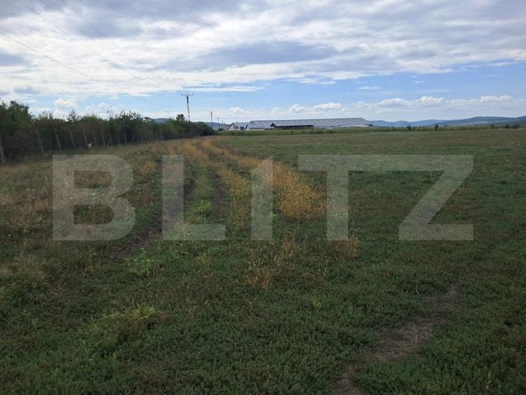 Teren Construcții extravilan de 73900 mp, în Est