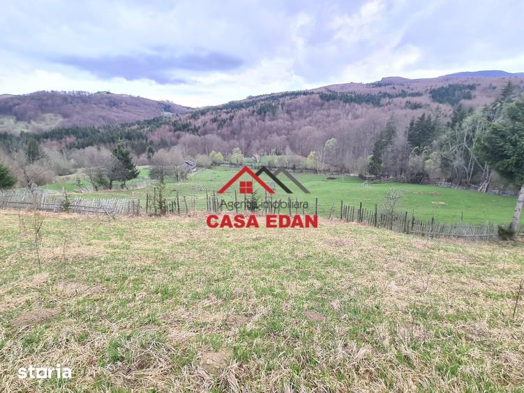 Teren de 20500 mp, în Valea Doftanei