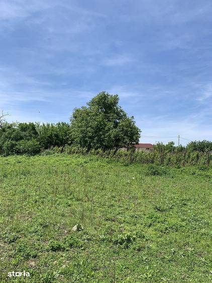 Teren de 1132 mp, în Comana