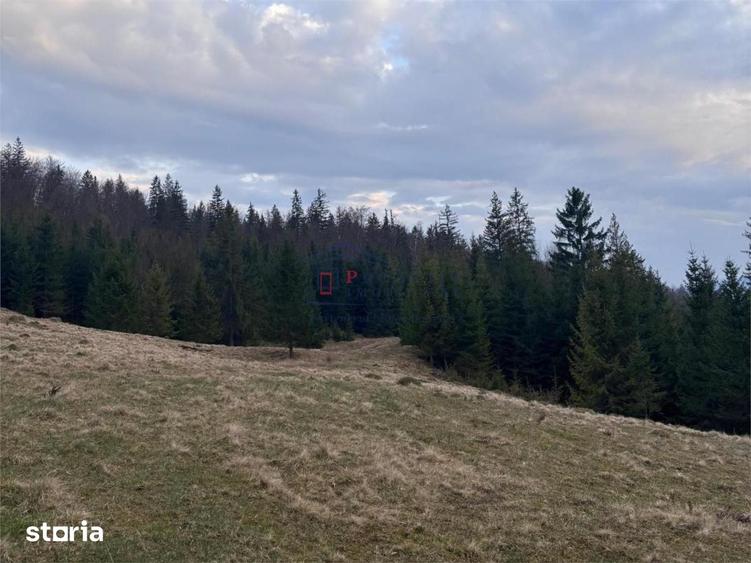 Teren de 1000 mp, în Mălini