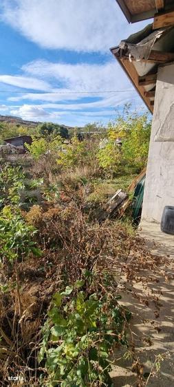 Casă cu 2 camere în Bădeni
