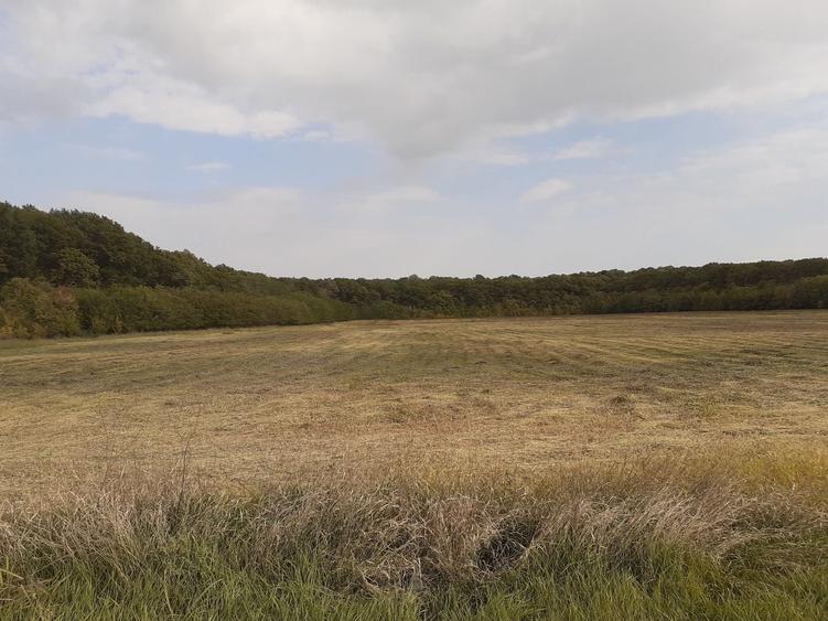 Teren Construcții intravilan de 1250 mp, în Ciofliceni