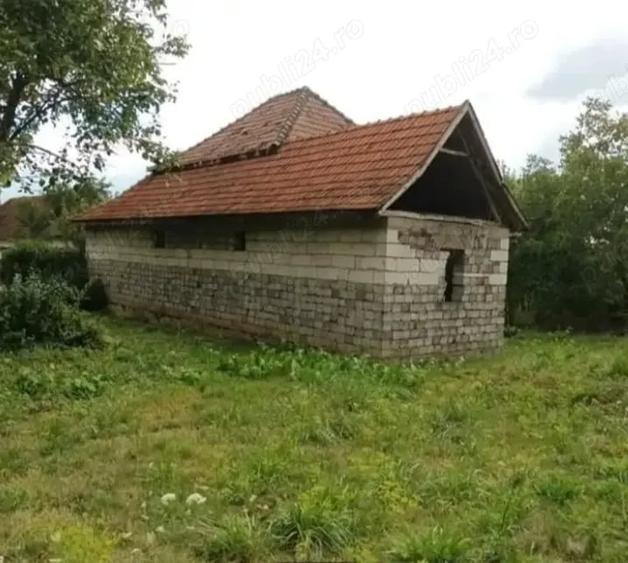 Casă cu 3 camere în Săliște