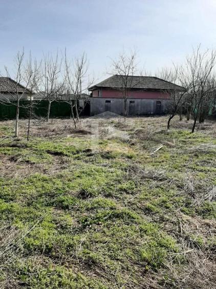 Teren Construcții intravilan de 2562 mp, în 23 August