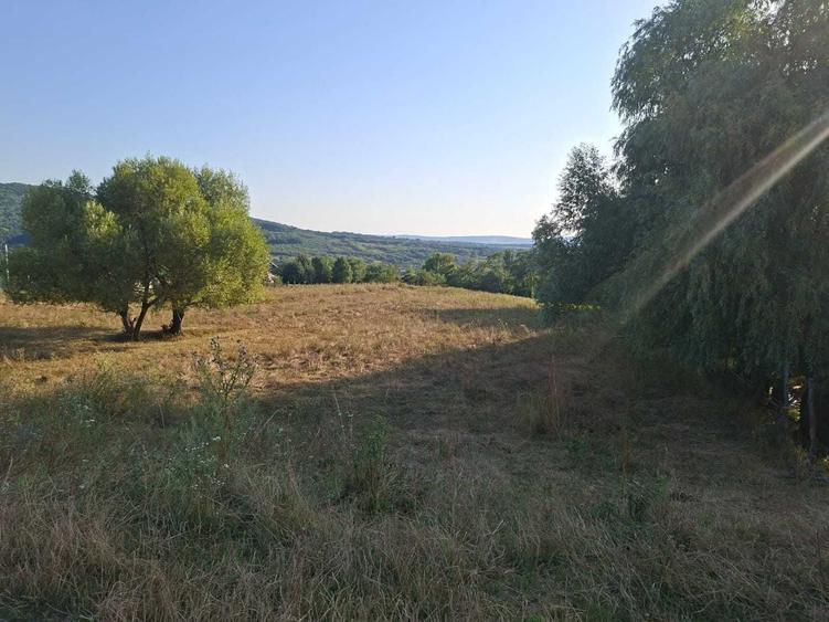 Teren de 1000 mp, în Bârnova
