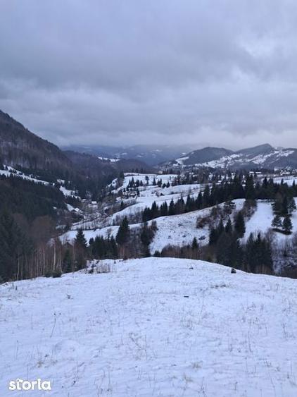 Teren de 1200 mp, în Dâmbovicioara