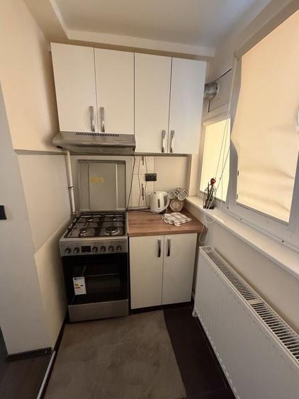 Apartament cu 3 camere decomandat, mobilat în Calarași 4