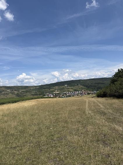 Teren Construcții extravilan de 8105 mp, în Iris
