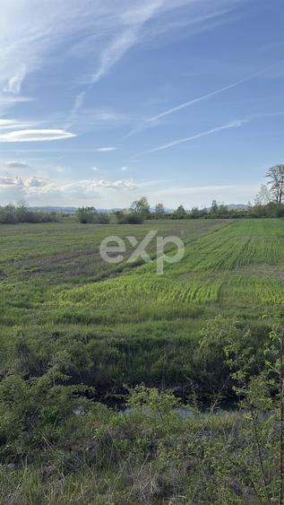 Teren agricol extravilan de 20000 mp, în Budeasa Mare