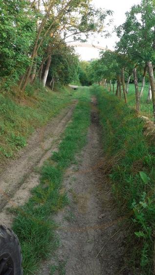 Teren agricol extravilan de 12421 mp, în Big-Bascov