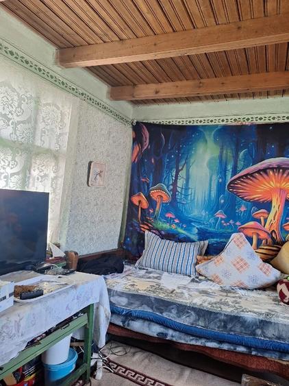 Casă cu 2 camere cu Teren 1471 Mp în Ciolănești
