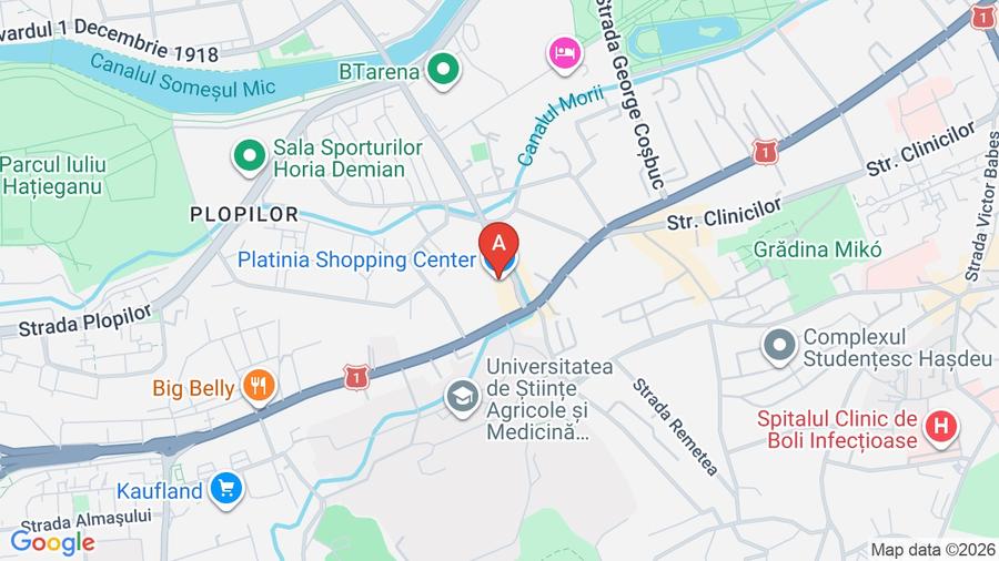 Apartament cu 2 camere decomandat în Plopilor