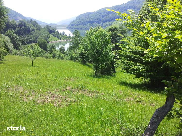 Teren de 73000 mp, în Siriu