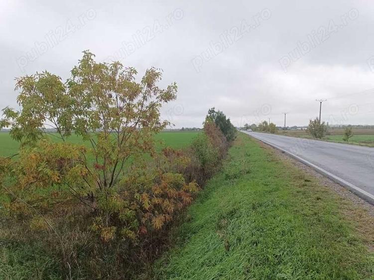 Teren de 15527 mp, în Fântânele