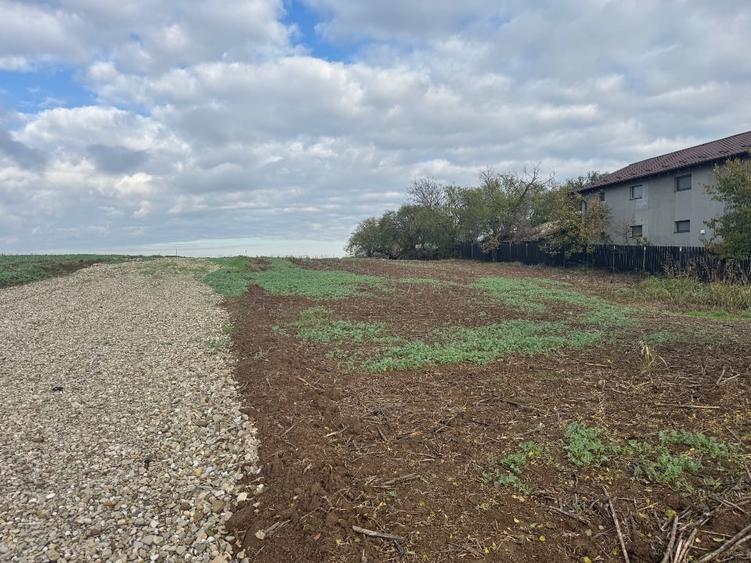 Teren Construcții intravilan de 1000 mp, în Piscu