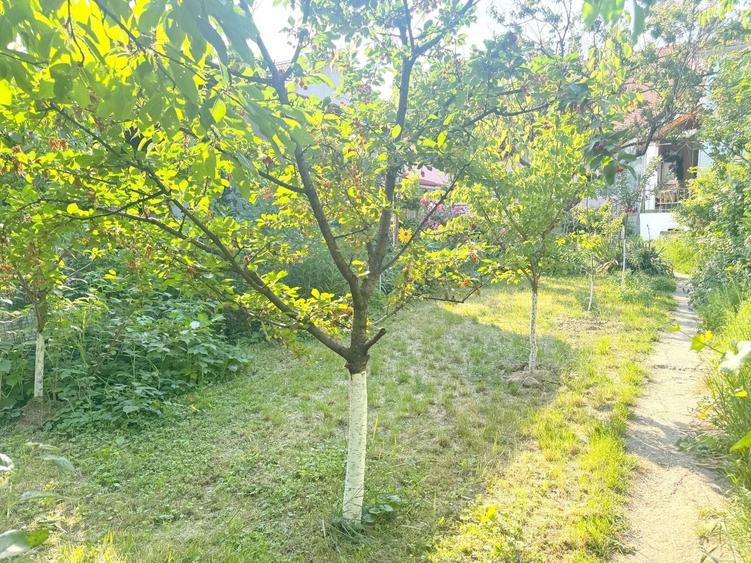 Apartament cu 2 camere semidecomandat în Elisabetin