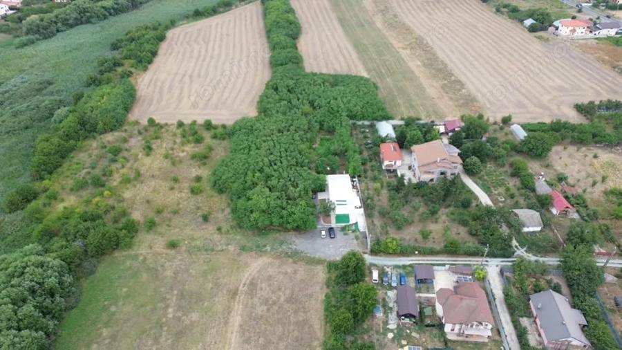 Casă cu Teren 1500 Mp în Frumușani