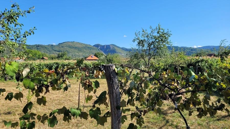 Casă individuală cu 3 camere cu Teren 600 Mp în Baia de Fier