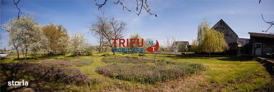 Teren de 11771 mp, în Vințu de Jos