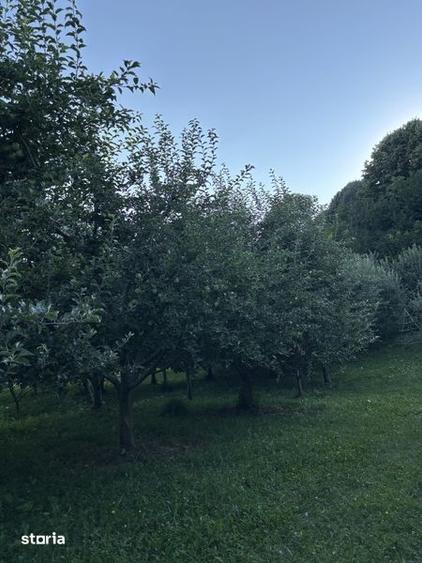 Teren de 5000 mp, în Boteni