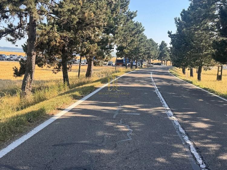 Teren de vanzare 10.200 mp, PlopeniSalcea, zona Aeroportului Suceava - 5