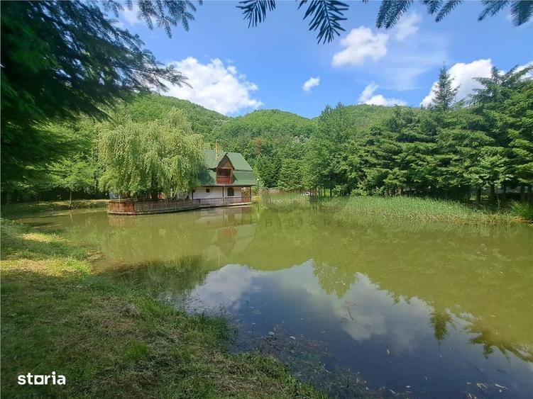Casă cu 4 camere cu Teren 2455 Mp în Pădurea Neagră