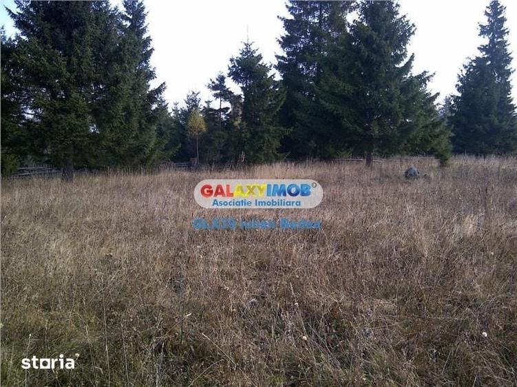 Teren pentru Complex Turistic - 12 730 mp - Vatra Dornei - 10