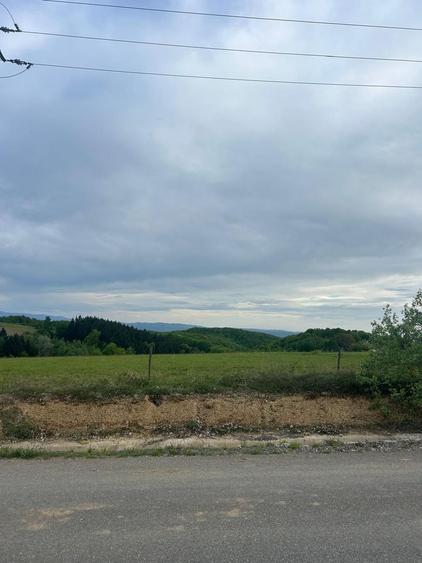 Teren Construcții intravilan de 11290 mp, în Șinteu