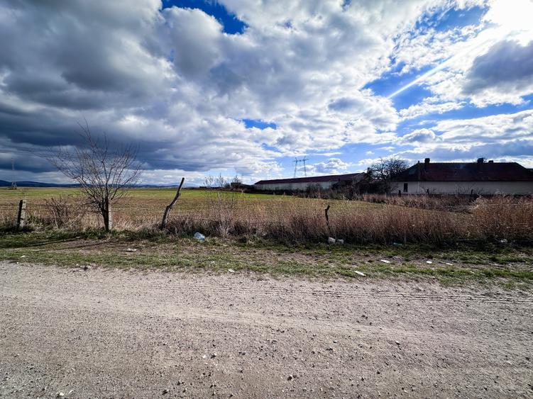 Teren agricol intravilan de 5000 mp, în Hălchiu