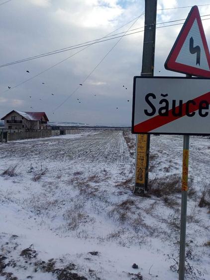 Teren de 2020 mp, în Săucești