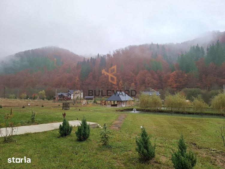 Casă cu 8 camere cu Teren 6300 Mp în Târlișua