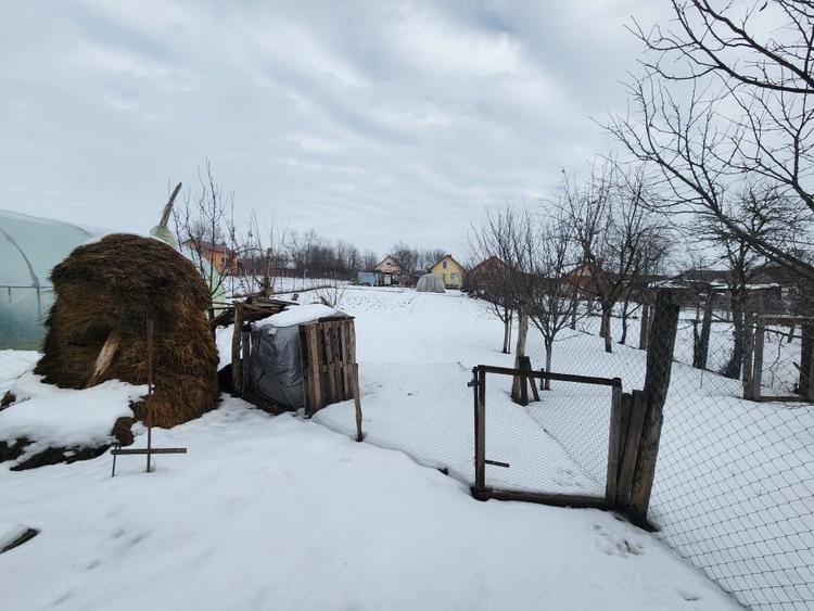 Casă individuală cu 7 camere cu Garaj în Biled
