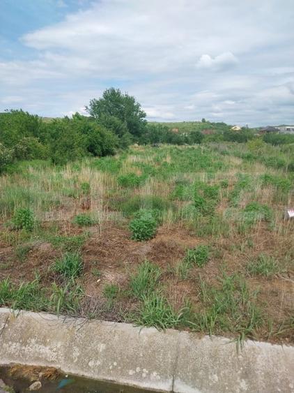 Teren Construcții intravilan de 1200 mp, în Lugoj