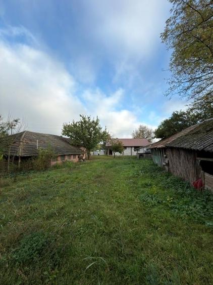 Casă individuală cu 3 camere cu Teren 3181 Mp în Luica