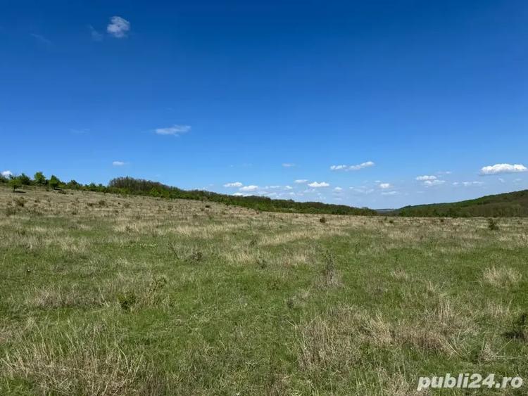 Teren de 480000 mp, în Prunișor