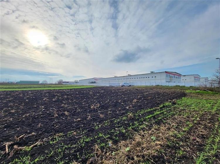 Teren Construcții extravilan de 28100 mp, în Hălchiu