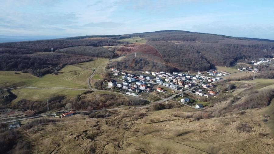 Teren agricol extravilan de 68403 mp, în Popești