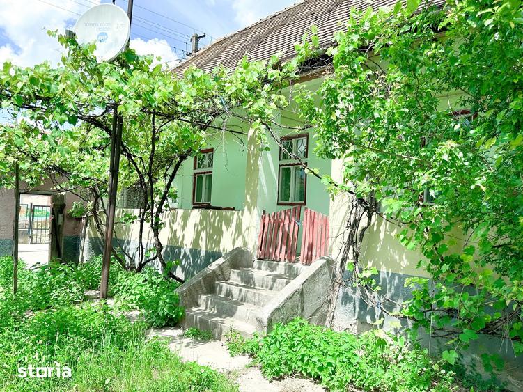 Casă cu 2 camere cu Teren 1384 Mp în Alma