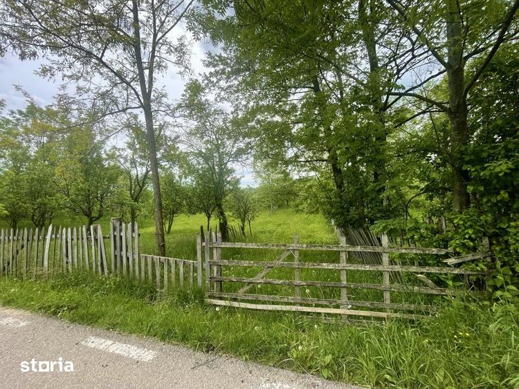 Teren de 6762 mp, în Șotrile